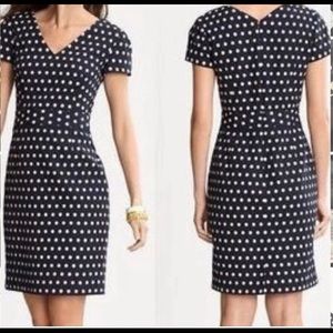 Banana Republic navy blue polka dot dress